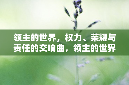 荣耀与责任的交响曲图片