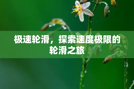 探索速度极限的轮滑之旅图片