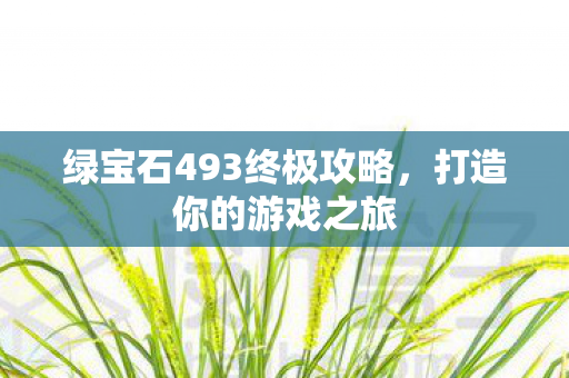 绿宝石493终极攻略图片