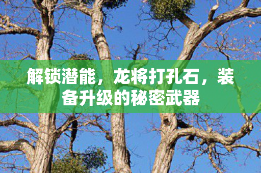 装备升级的秘密武器图片