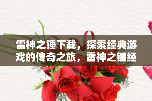 探索经典游戏的传奇之旅图片