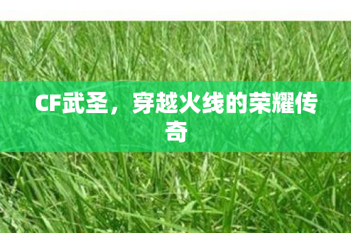 穿越火线的荣耀传奇图片