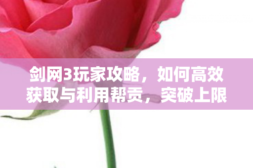 如何高效获取与利用帮贡图片