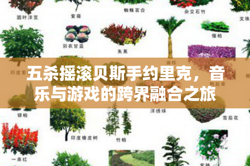 音乐与游戏的跨界融合之旅图片