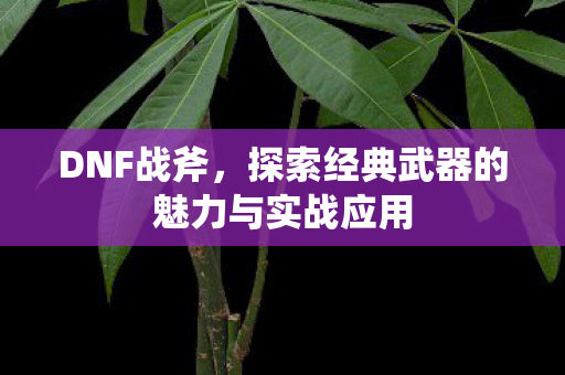 探索经典武器的魅力与实战应用图片