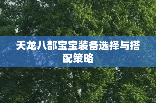 天龙八部宝宝装备选择与搭配策略图片