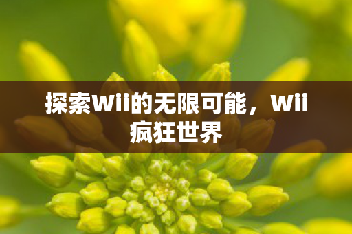 探索Wii的无限可能图片