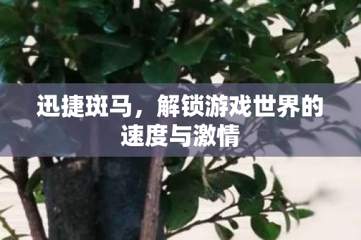 解锁游戏世界的速度与激情图片