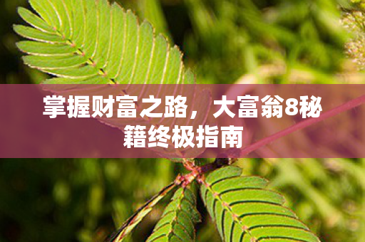 大富翁8秘籍终极指南图片