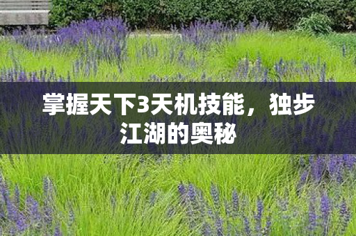 掌握天下3天机技能图片