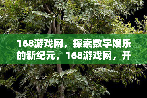 探索数字娱乐的新纪元图片