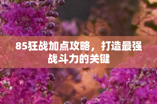 打造最强战斗力的关键图片