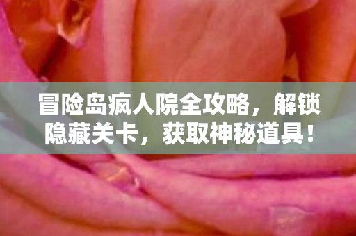 冒险岛疯人院全攻略图片