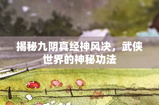 揭秘九阴真经神风决图片