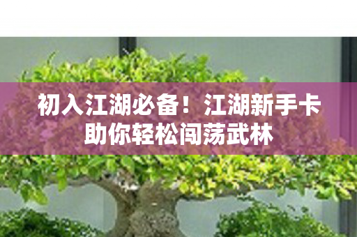江湖新手卡助你轻松闯荡武林图片