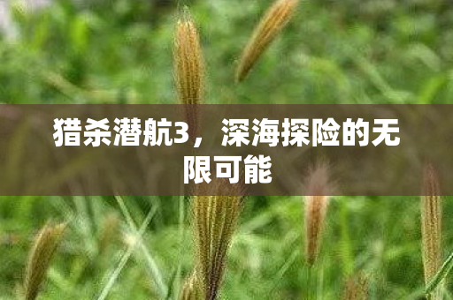 深海探险的无限可能图片