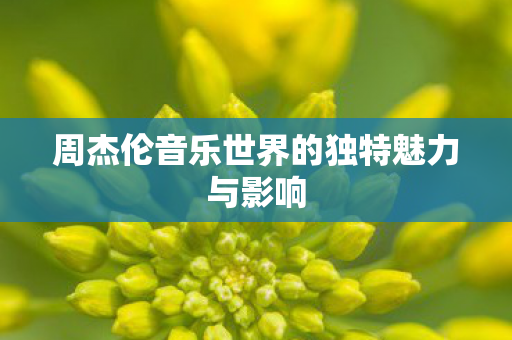 周杰伦音乐世界的独特魅力与影响图片