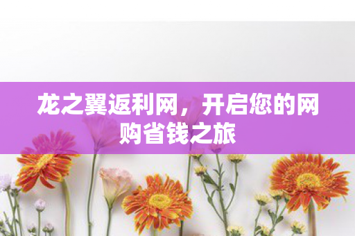 龙之翼返利网,开启您的网购省钱之旅 龙之翼返利网,开启您的网购省钱之旅