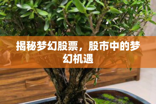 股市中的梦幻机遇图片