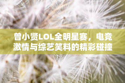 电竞激情与综艺笑料的精彩碰撞图片