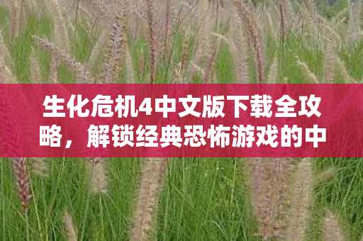 生化危机4中文版下载全攻略图片