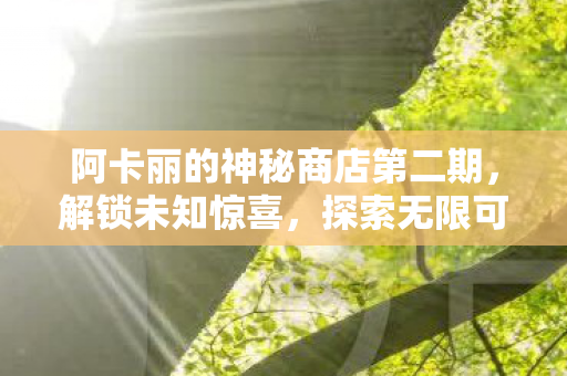 阿卡丽的神秘商店第二期图片