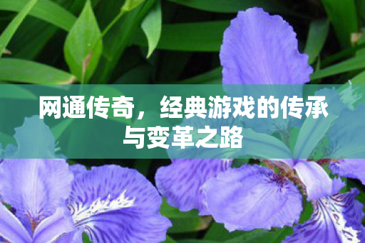 经典游戏的传承与变革之路图片