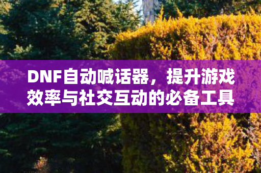 提升游戏效率与社交互动的必备工具图片