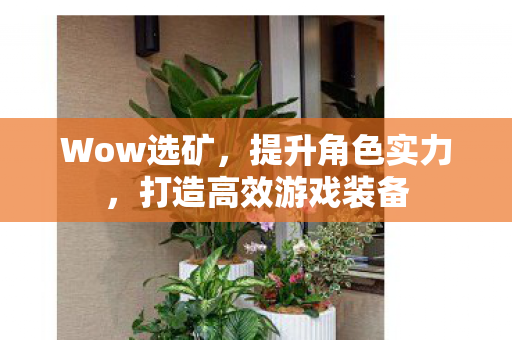 打造高效游戏装备图片