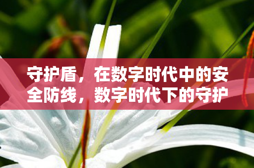 在数字时代中的安全防线图片
