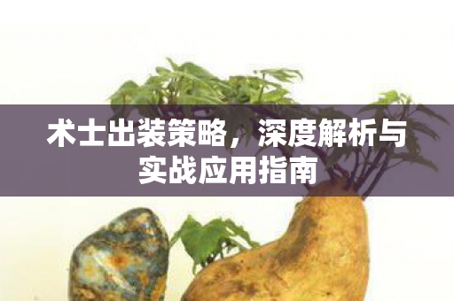 深度解析与实战应用指南图片