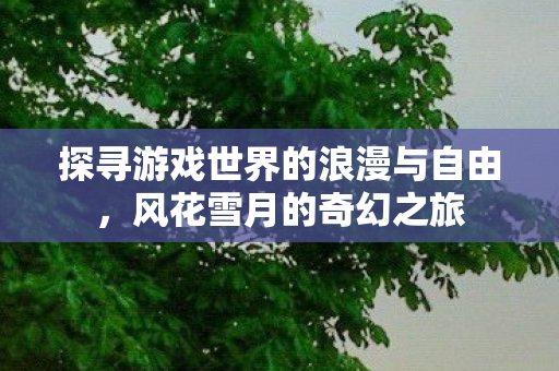 探寻游戏世界的浪漫与自由图片