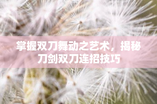 揭秘刀剑双刀连招技巧图片