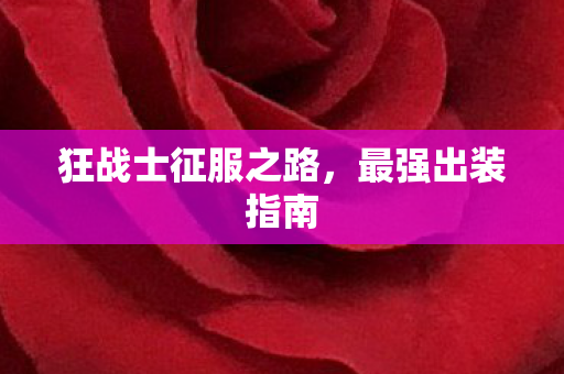 狂战士征服之路图片