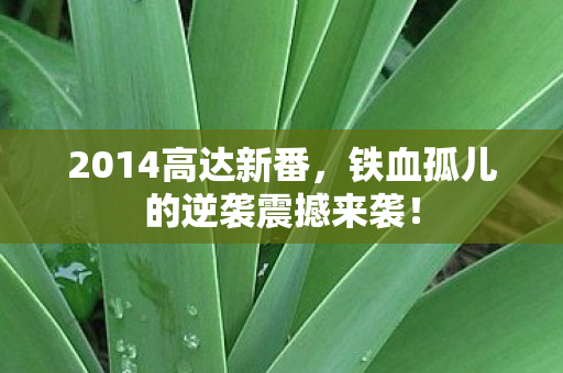 铁血孤儿的逆袭震撼来袭图片