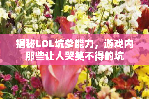 游戏内那些让人哭笑不得的坑图片