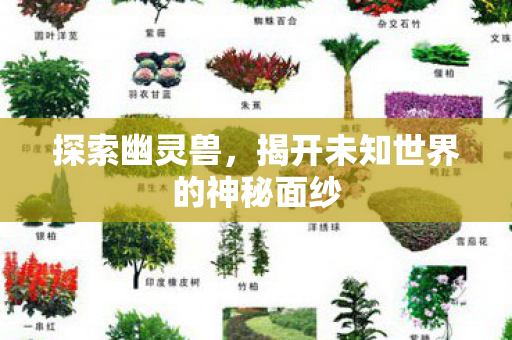 揭开未知世界的神秘面纱图片