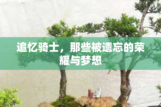 那些被遗忘的荣耀与梦想图片