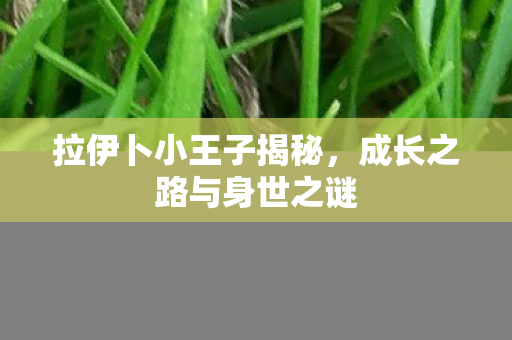 成长之路与身世之谜图片