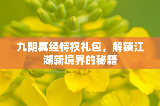 解锁江湖新境界的秘籍图片