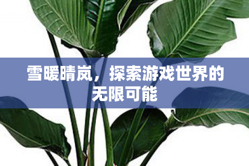 探索游戏世界的无限可能图片