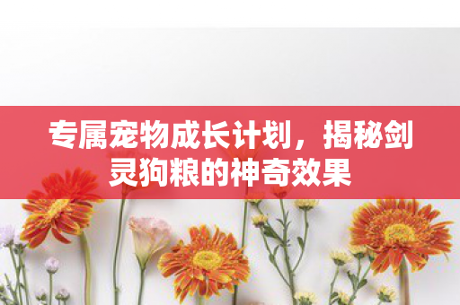 揭秘剑灵狗粮的神奇效果图片