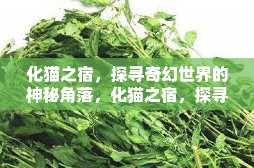 探寻奇幻世界的神秘角落图片