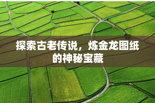 炼金龙图纸的神秘宝藏图片