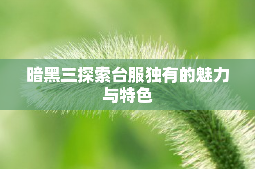 暗黑三探索台服独有的魅力与特色图片