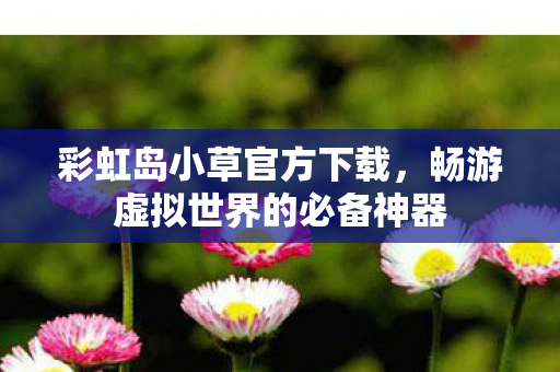 畅游虚拟世界的必备神器图片