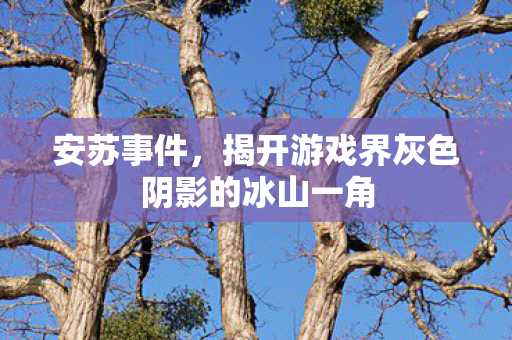 揭开游戏界灰色阴影的冰山一角图片