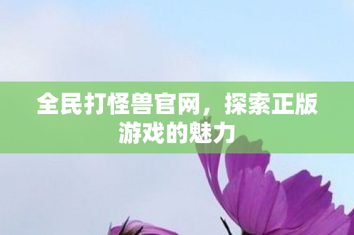 探索正版游戏的魅力图片