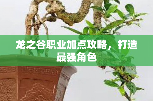 龙之谷职业加点攻略图片