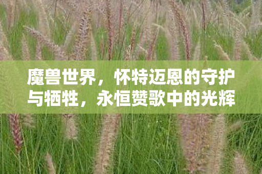 怀特迈恩的守护与牺牲图片